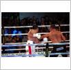 Galeria zdjęć: Międzyzdroje Seaside Boxing Show 2011. Link otwiera powiększoną wersję zdjęcia.