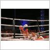 Galeria zdjęć: Międzyzdroje Seaside Boxing Show 2013. Link otwiera powiększoną wersję zdjęcia.